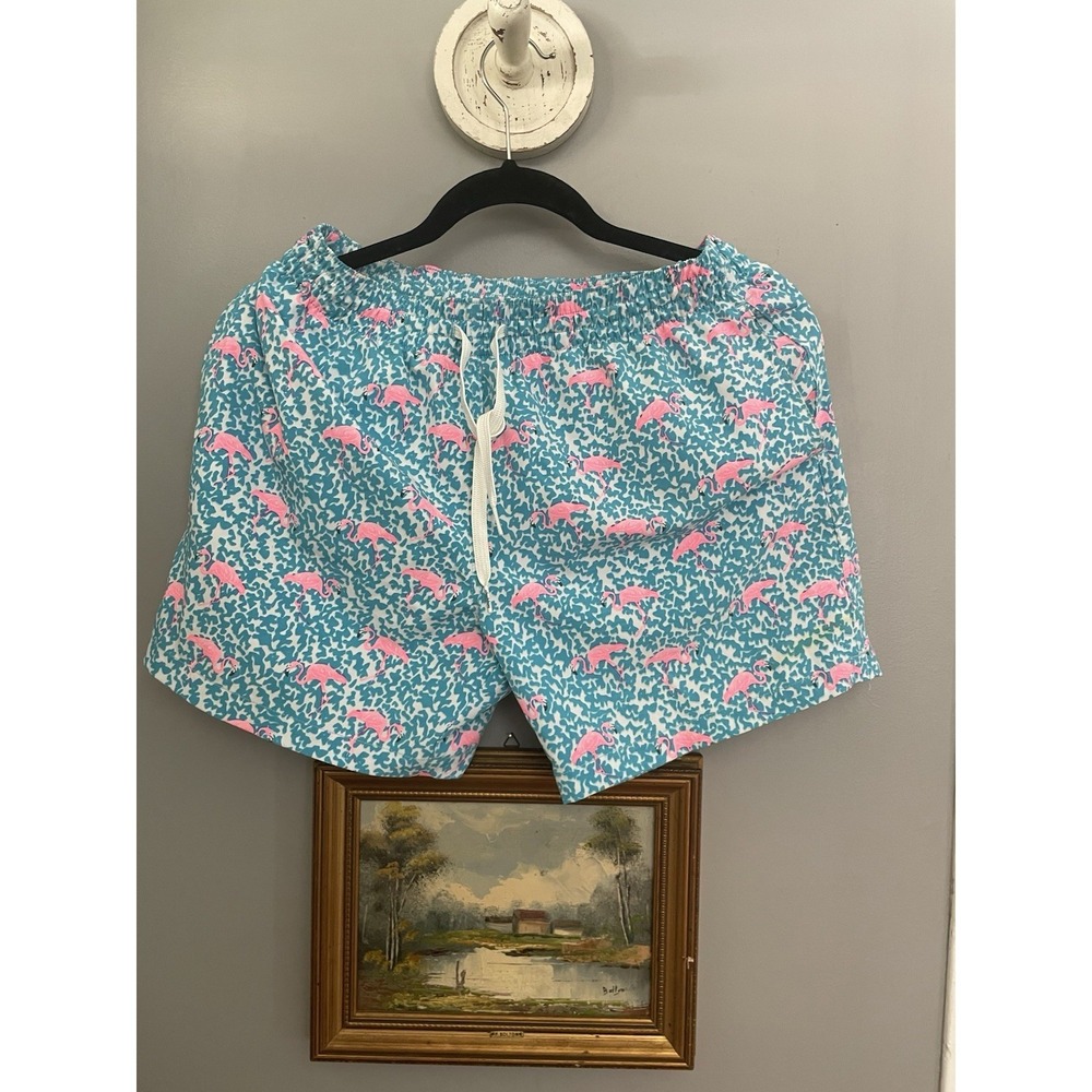 Chubbies The Domingos Are For Flamingos Swim Trunks Men Small  Blue 5.5" Inseam